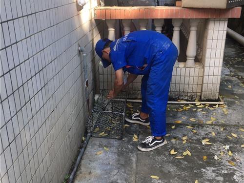 装猫