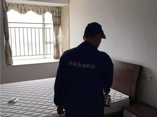 除甲醛