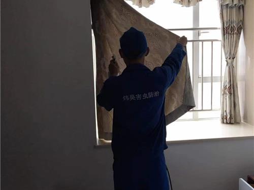 除甲醛