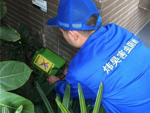灭鼠