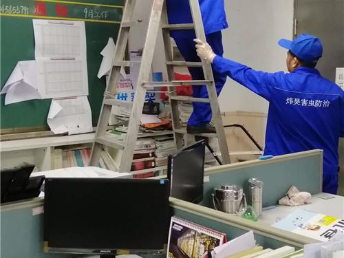 灭鼠