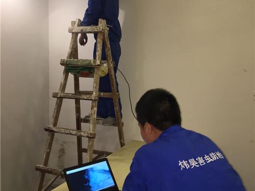 白蚁预防