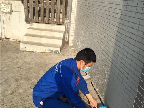 灭鼠