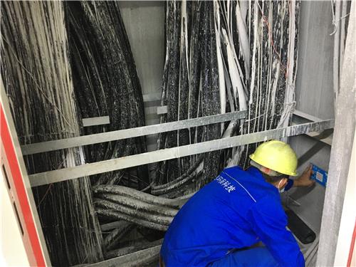 灭鼠
